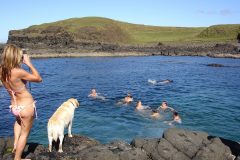 Causeway-Cottages-Location-Photos-Swimming-off-Rocks