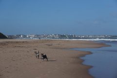 Causeway-Cottages-Location-Photos-Dogs-at-Whiterocks